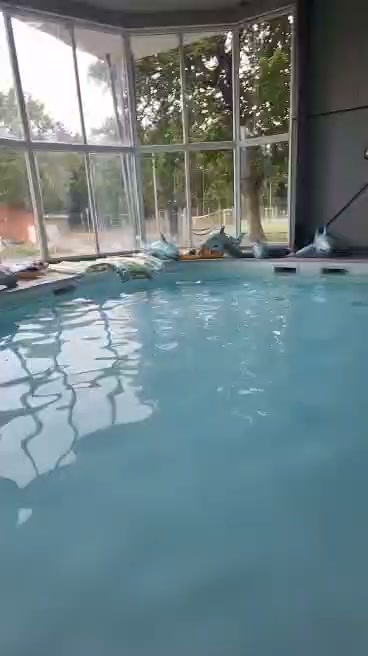 Kom i svømmehallen i dag og få et badedyr med hjem! 🦩🐊

I da