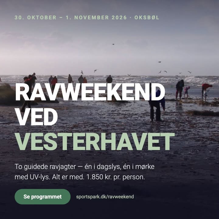 KOM MED PÅ RAVWEEKEND VED VESTERHAVET 🌊

Drømmer I om frisk 
